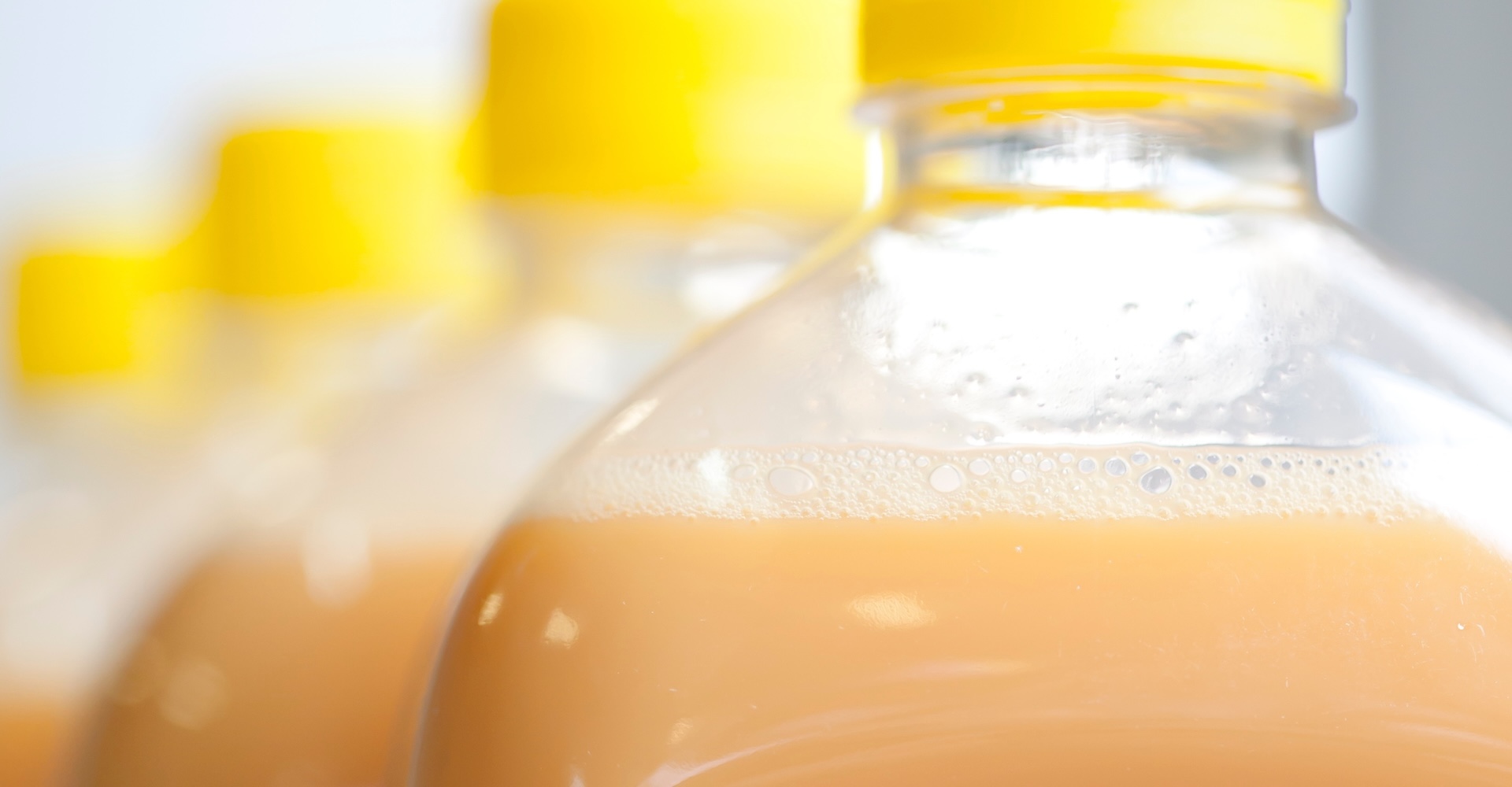 Ovo Líquido Nutrição e performance num só produto